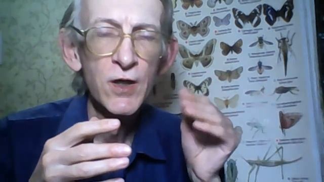 Чем и Как Кормить Птиц Зимой? Хлеб и Пшено Можно или Нет? Какой корм можно давать птицам зимой? смотреть онлайн