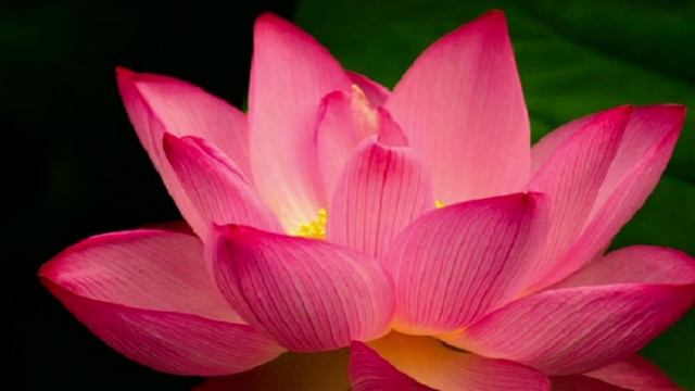 sita ram mantra chant meditation смотреть онлайн
