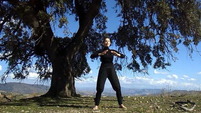 Qi Gong | Ba Duan Jin With Instruction | Daily Practice for Health and Longevity смотреть онлайн