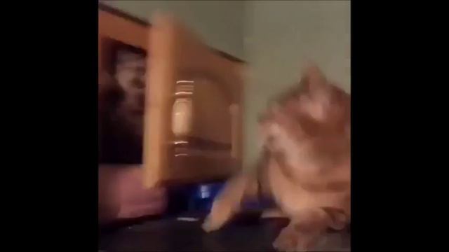 Так ему и надо смотреть онлайн