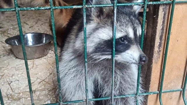 Задорные ребята???❤ смотреть онлайн