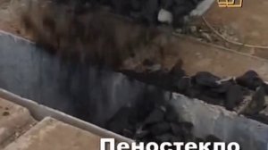 Какой утеплитель не едят мыши