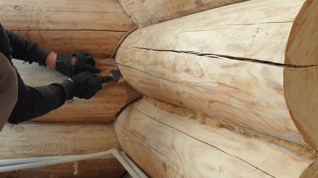 НАСТОЯЩАЯ КОНОПАТКА СРУБОВ смотреть онлайн