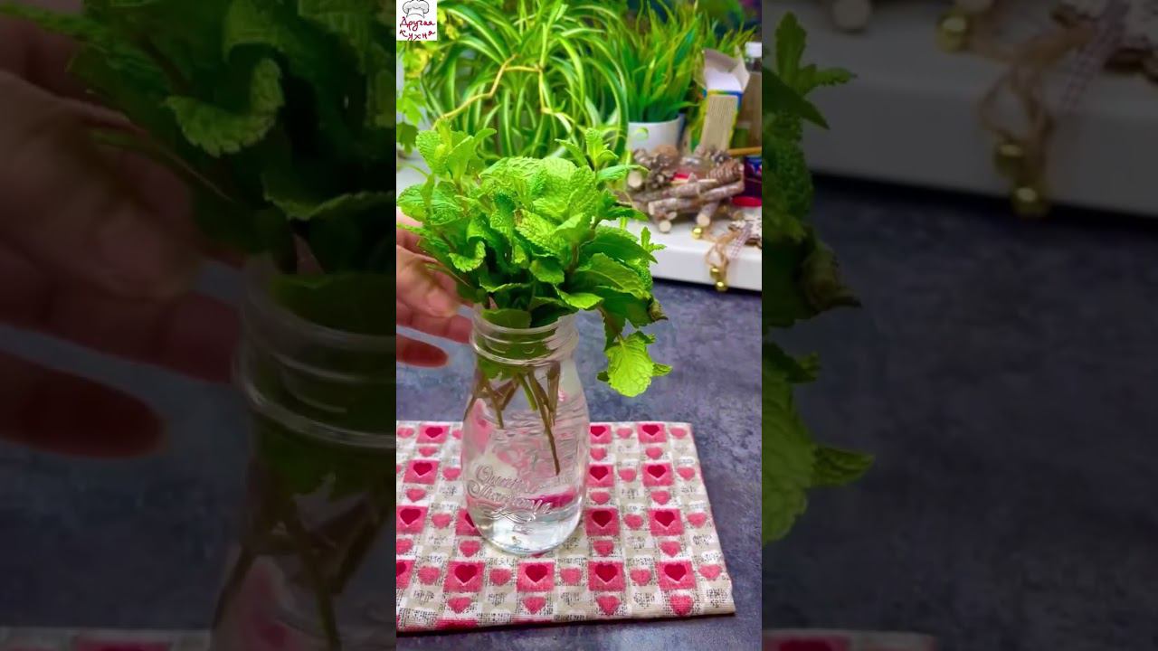 А что вы выращиваете зимой? смотреть онлайн