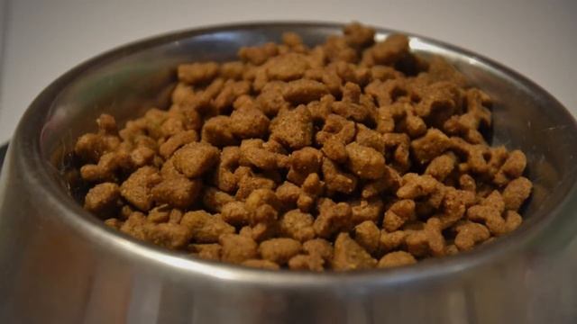 10 САМЫХ СТРАННЫХ ПРОФЕССИЙ