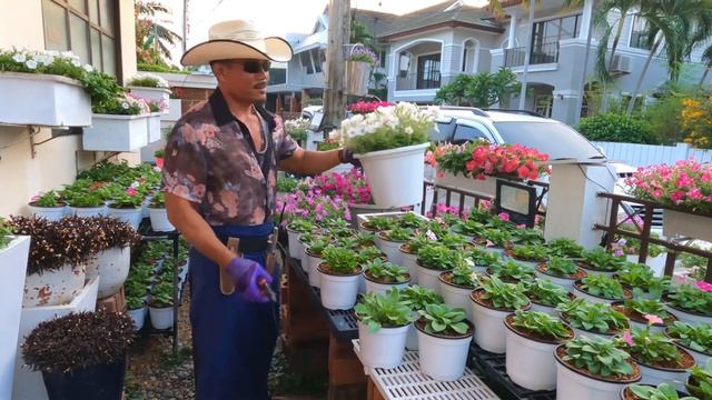 ชายผู้บ้าคลั่ง ตัดดอกไม้ในสวน ทำไม? смотреть онлайн