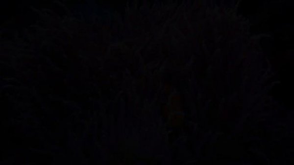 Aquarium 4K VIDEO (ULTRA HD) - Beautiful Coral Reef Fish - Sleep Relaxing Meditation Music