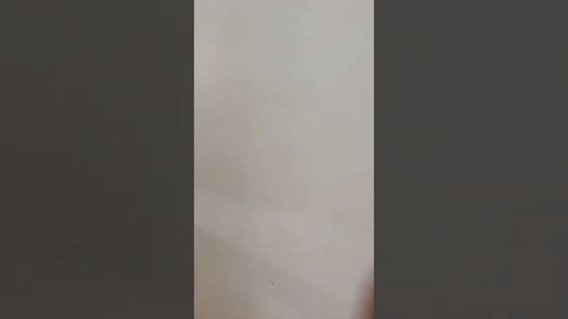 Гостевой дом / Горный Алтай / Турбаза "Алтай Космос" смотреть онлайн