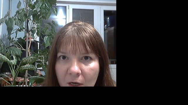 The Present Indefinite Tense Ч. 2 смотреть онлайн