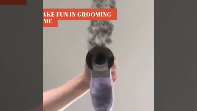 Electric Pet Fur Vacuum Trimmer смотреть онлайн