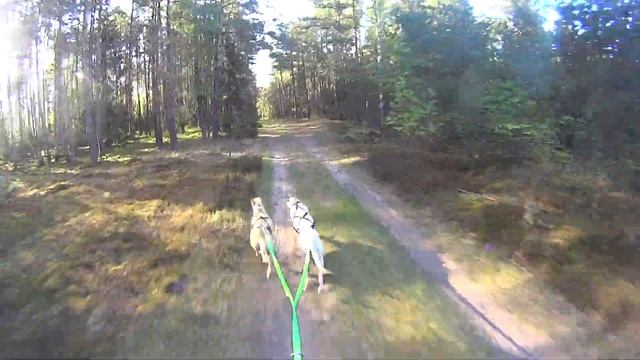 scooter iris & Isi смотреть онлайн
