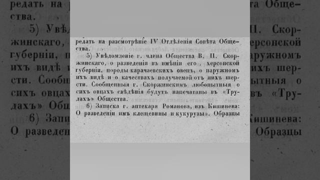 Карачаевская порода овец смотреть онлайн