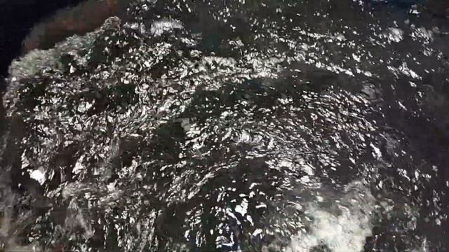 Whale Shark - The first acquaintance (Китовая акула - первое знакомство) смотреть онлайн