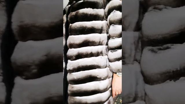373 Шуба женская из натурального меха шиншиллы смотреть онлайн