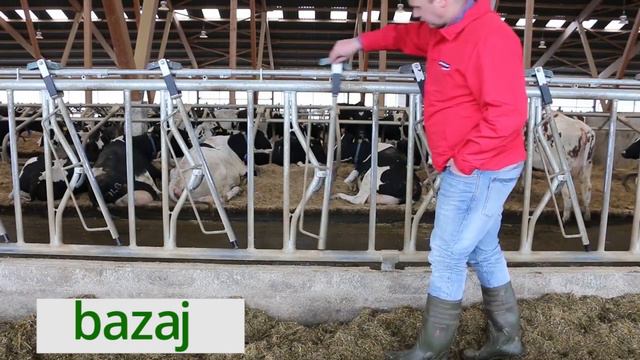 amazing modern automatic cow farming technology || Amazing HD Video смотреть онлайн