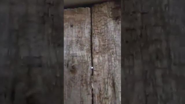 желден қалай энергия алуға болады???