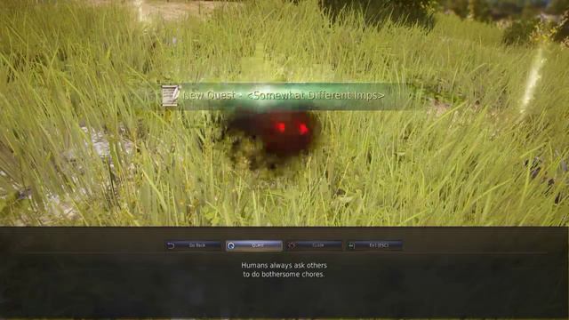 Black Desert смотреть онлайн