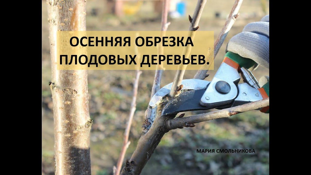 Осенняя обрезка плодовых деревьев. смотреть онлайн