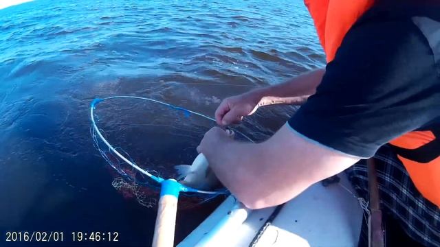 рыбалка на Волге на отвес с лодки 2 смотреть онлайн