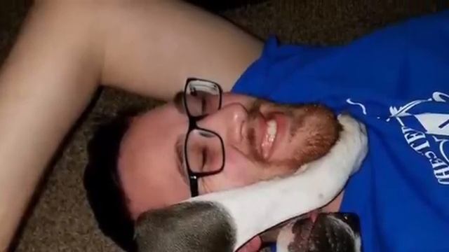 Меня сегодня усыпят, она доверчиво просунула свою лапу сквозь сетку смотреть онлайн