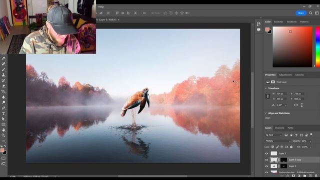 I Put Animals Where They Shouldn't Be Using Photoshop! Professional Photo Compositing Step By Step смотреть онлайн