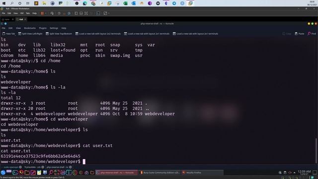 Web Application Authentication Bypass | TryHackMe Road смотреть онлайн