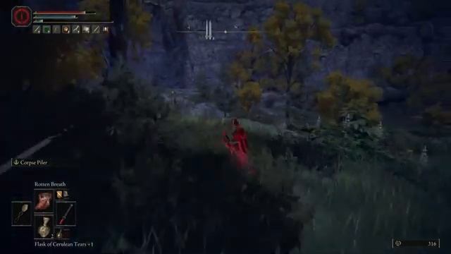 Elden Ring pvp lvl 30 invasion смотреть онлайн