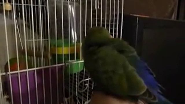 20150106 P0299 Squirt meets dad смотреть онлайн
