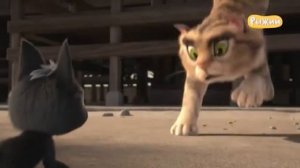 Анонс. Рыжий. Жил-был кот.