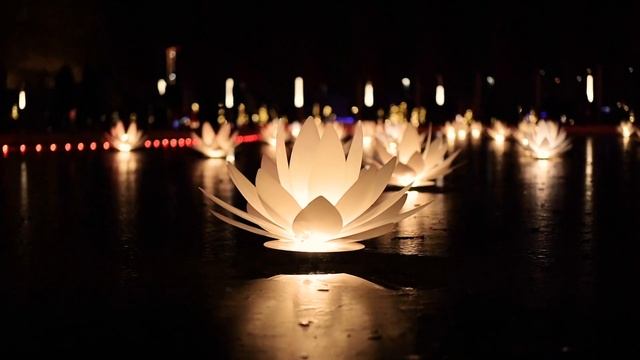 Прогулка в парке Галицкого тест Sony A7III | Морозов Дмитрий смотреть онлайн