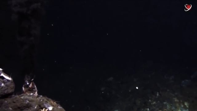 THE MOST HORRIFYING PLACES IN THE OCEAN 11,034 m BELOW SEA LEVEL смотреть онлайн