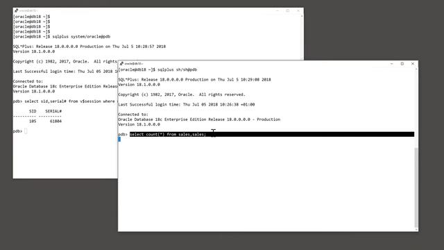 How and Why to use the Oracle CANCEL SQL Command смотреть онлайн