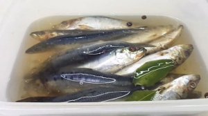 Иваси пряного посола. Рецепт маринада. Забытый вкус.