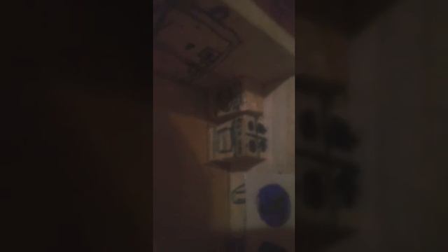 квартира из дерева смотреть онлайн