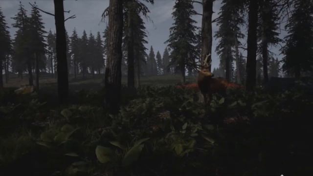 REBORN: Survival Trailer - Gameplay - Images - About This Game смотреть онлайн
