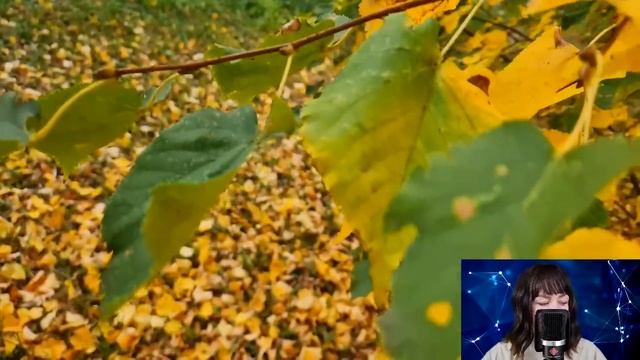 Узнав, что скрывал муж, Настя тайно установила в его кабинете скрытую камеру. Но увидев запись... смотреть онлайн
