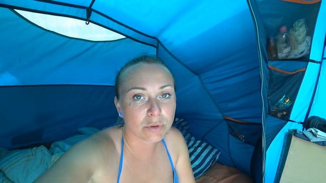 Дельфины в метре от берега. Железный Порт 2020. Одичалая вышла на прогулку! смотреть онлайн