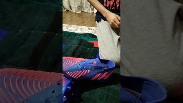 ОБЗОР БУТС Adidas Pro Predator @adidas крутые бутсы??