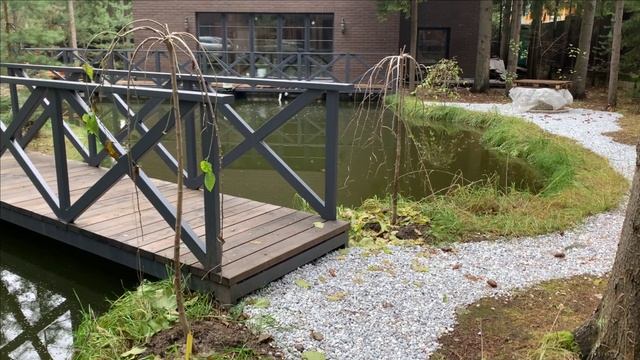 Какую рыбу НЕ НАДО заводить в своем пруду смотреть онлайн