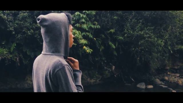 Nature Cinematic Video || Nikon Coolpix P510 смотреть онлайн