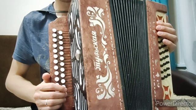 ЯЗМЫШ - РАЗБОР НА ГАРМОНИ ЦИФРАМИ. Ризван Хакимов #кариммуратов #баянпобратски смотреть онлайн