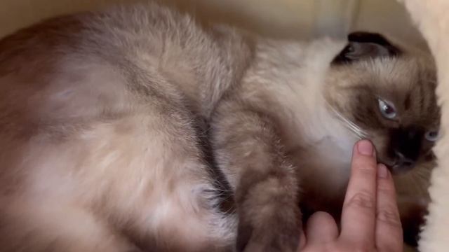 «РУССКИЕ» апартменты в США, как живут русские в Америке