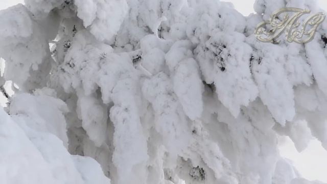 ?Загадочная встреча с неизвестным в глухой Сибирской тайге!Случай в тайге! смотреть онлайн