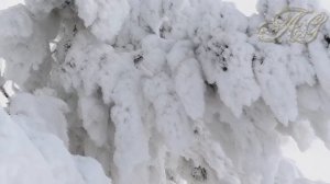 ?Загадочная встреча с неизвестным в глухой Сибирской тайге!Случай в тайге!