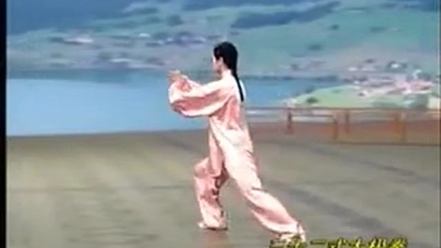 BEAUTIFUL CHINESE NEW AGE MUSIC ! ....32 Yang Shi TaijiQuan by Master Sifu AMIN WU ! смотреть онлайн