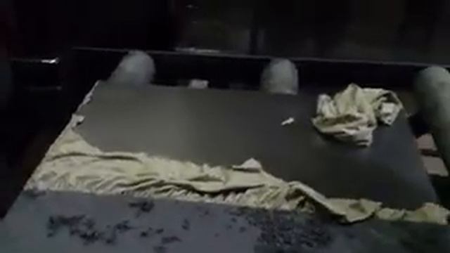 Снятие полимерно порошкового покрытия удалителем краски КраскиНет 240p смотреть онлайн