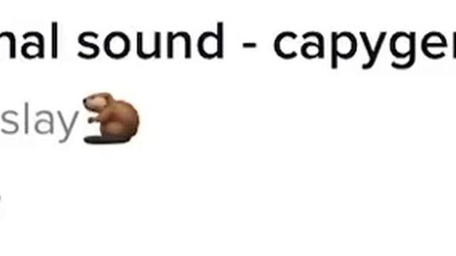 Did somebody say salami gulp gulp (TikTok audio) смотреть онлайн