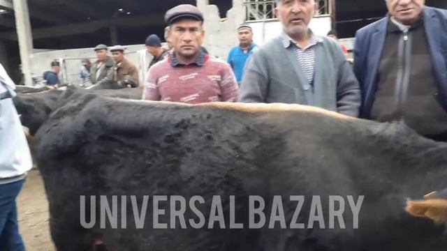 Эттин Баасы ТҮШТҮБҮ? Бүгүн БукаларАрзан болду ӨЗГӨЧӨ Базар болду смотреть онлайн