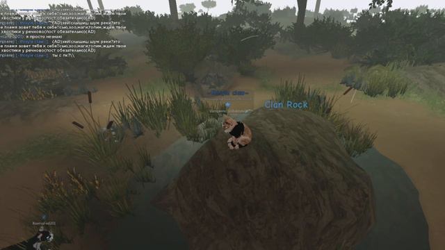 обычный день в Wcue