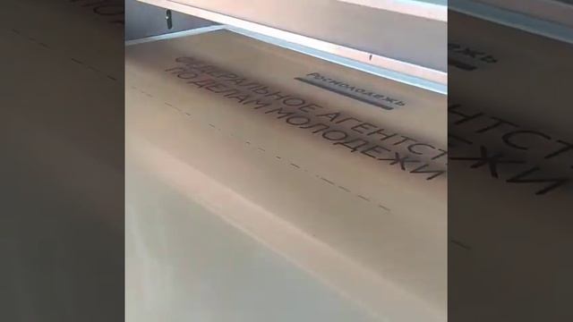 Изготовление офисных табличек в Москве и Казани | табличка на дверь замруководителя Росмолодежи